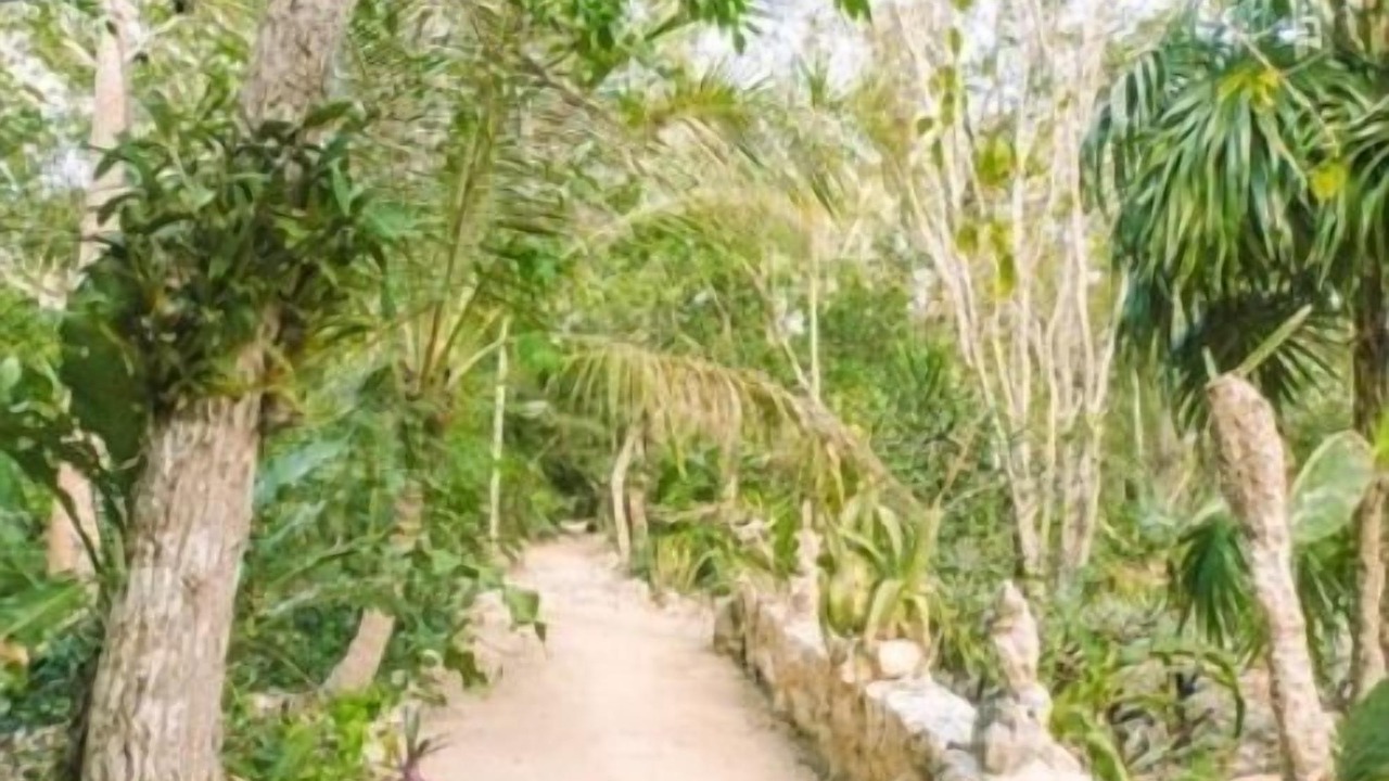 Photo of Bedroom in Akumal