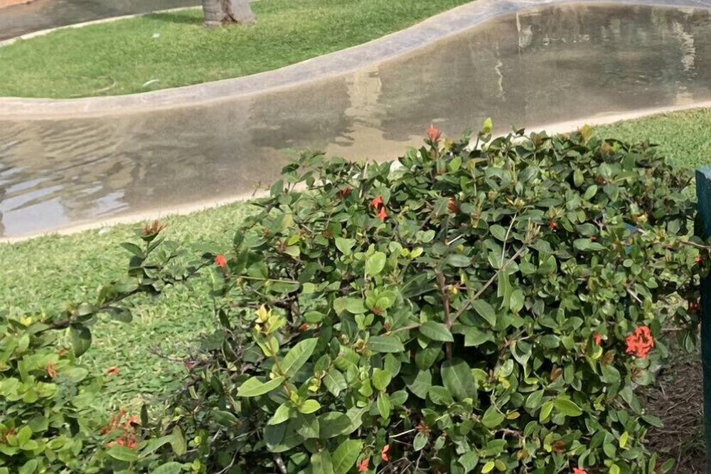 Photo of Outdoor in Cerritos