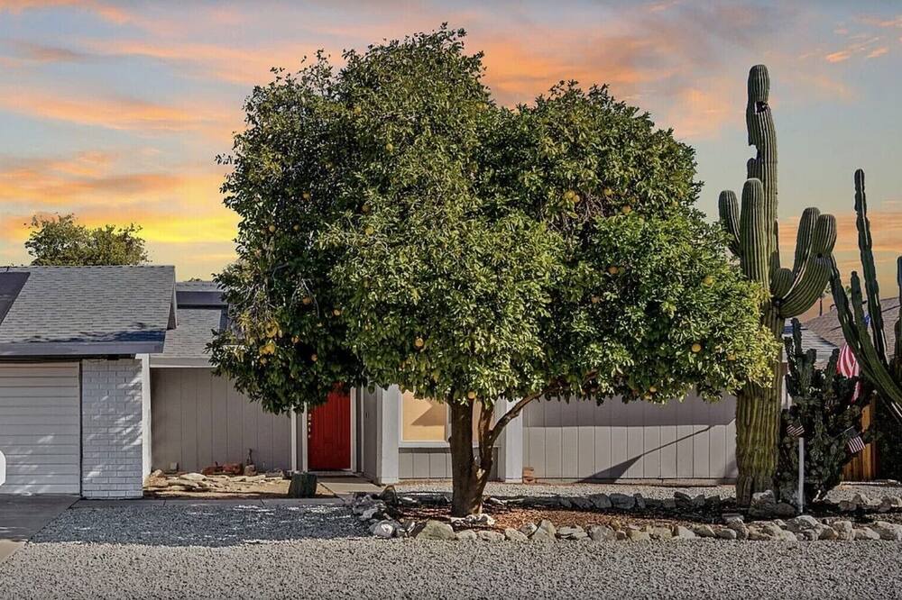 Photo of Outdoor in North Mountain