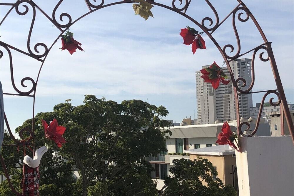 Photo of Outdoor in Las Gaviotas