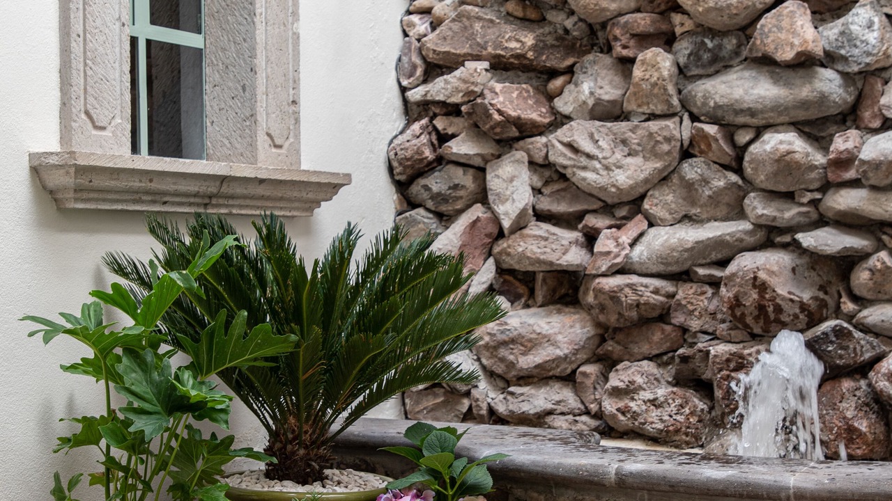 Photo of Outdoor in San Miguel de Allende