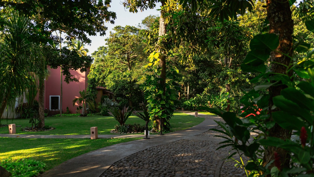 Photo of Outdoor in Comala