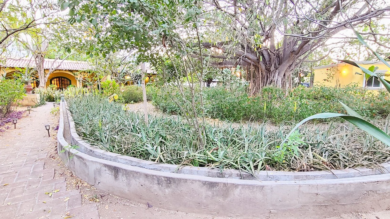 Photo of Outdoor in Alamos