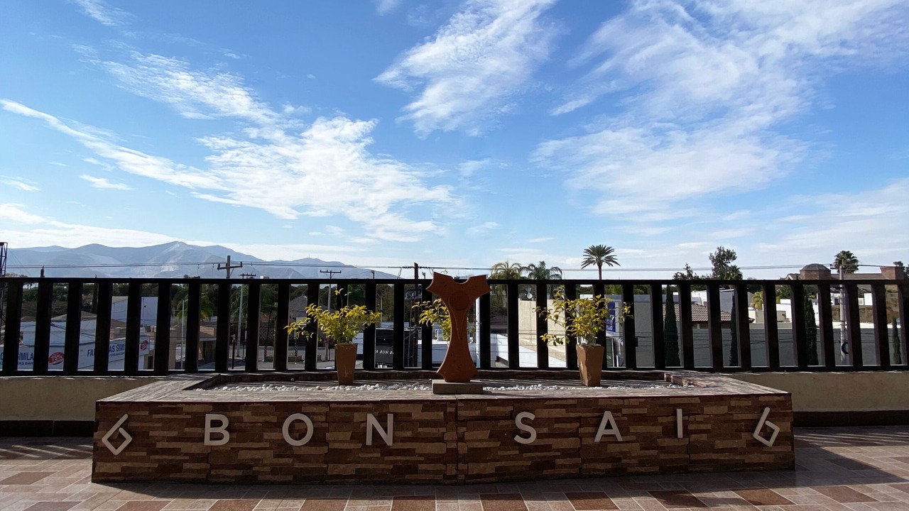 Photo of Patio Balcony in Torreon