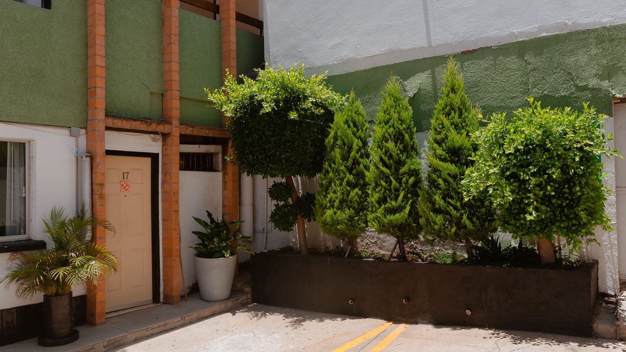 Photo of Outdoor in Zacatecas Centro