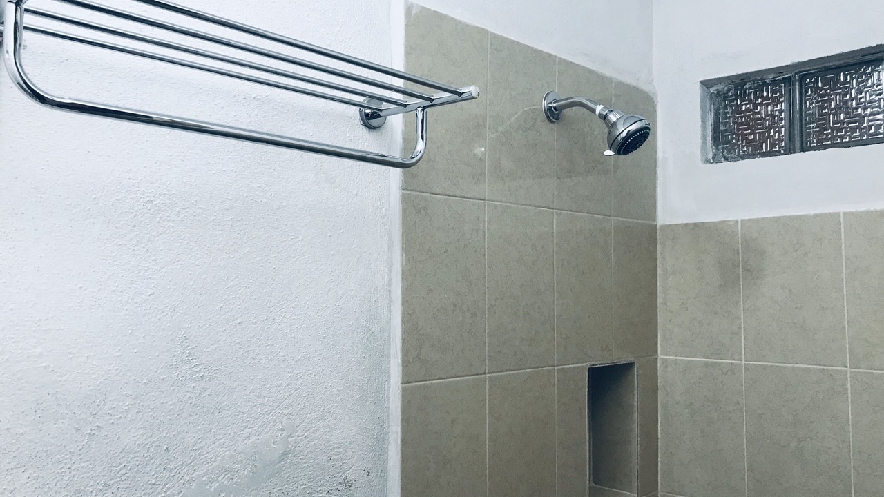Photo of Bathroom in Tampico