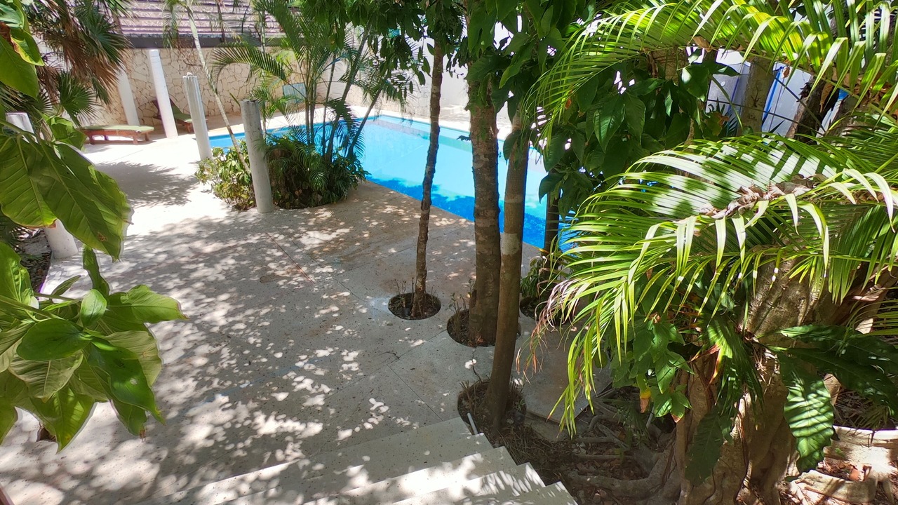 Photo of Outdoor in Akumal