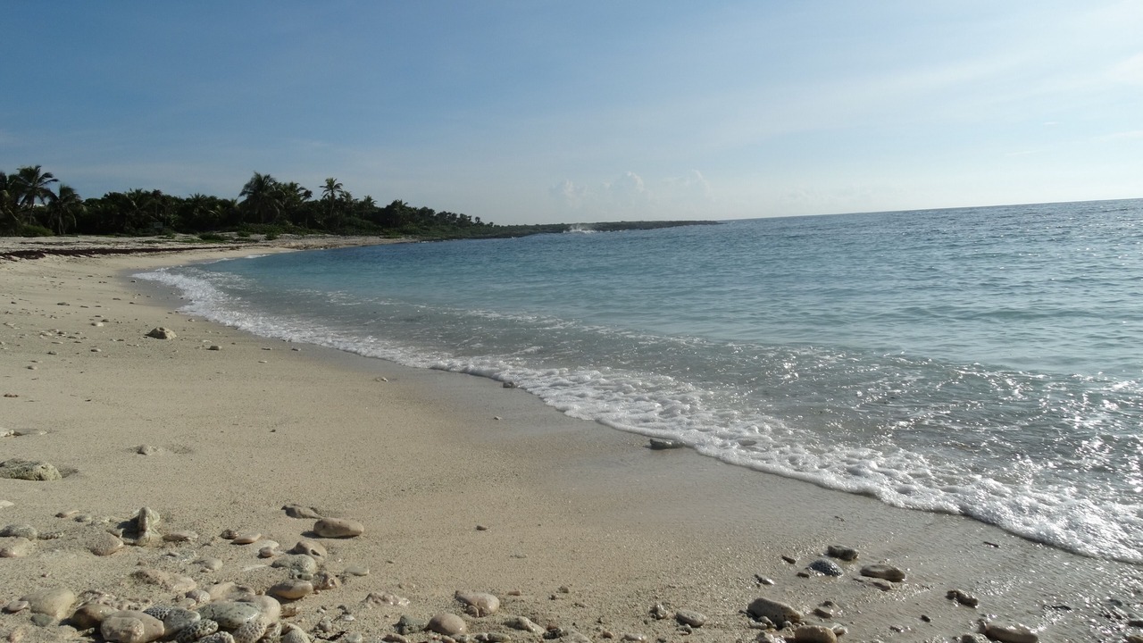 Photo of Others in Akumal