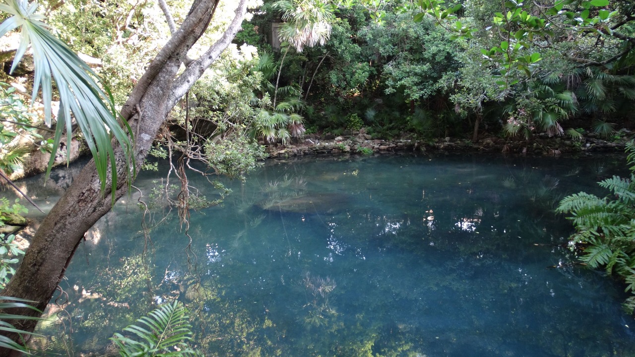 Photo of Outdoor in Akumal