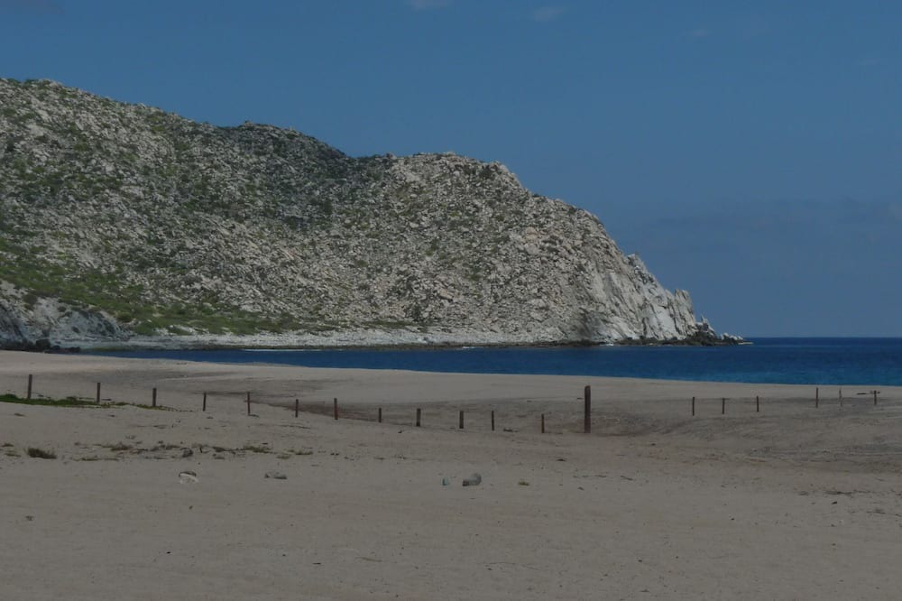 Photo of Others in Cabo Pulmo