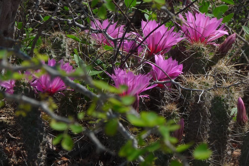 Photo of Outdoor in Cabo Pulmo