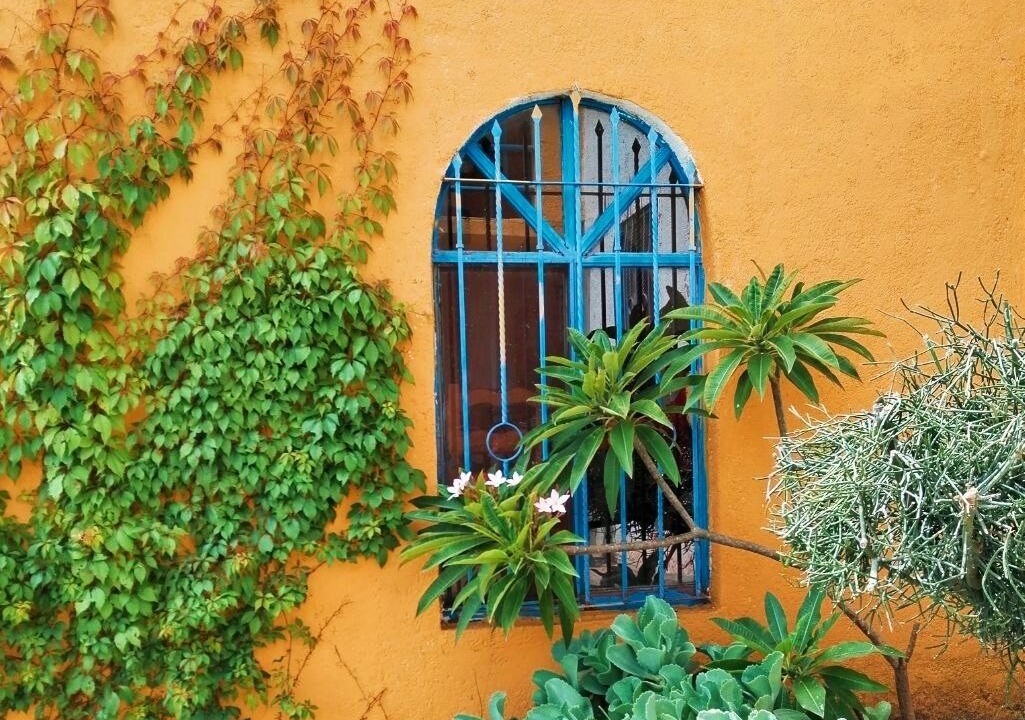 Photo of Outdoor in Morelia