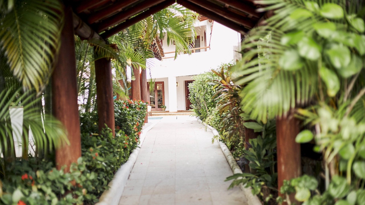 Photo of Outdoor in Playa Las Gatas