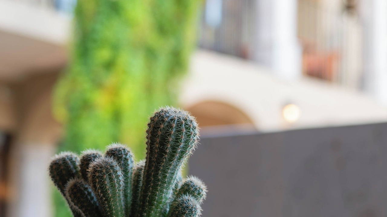Photo of Outdoor in Loreto