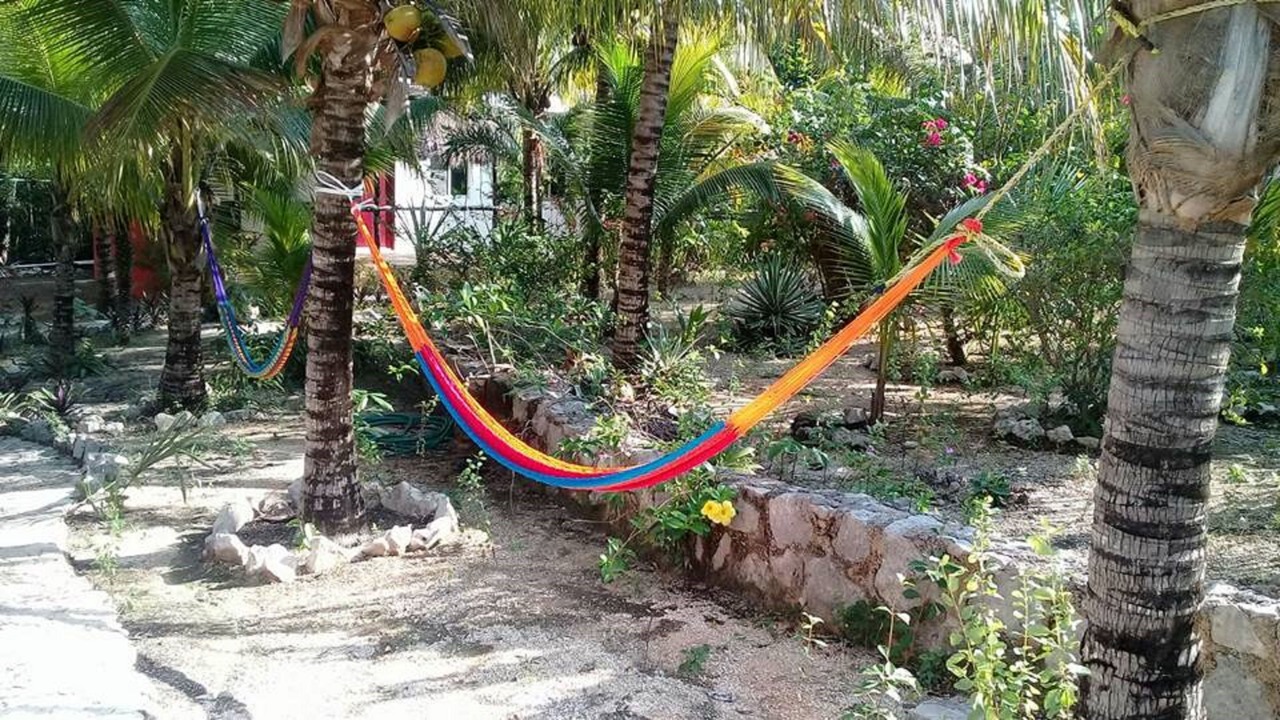 Photo of Outdoor in Akumal