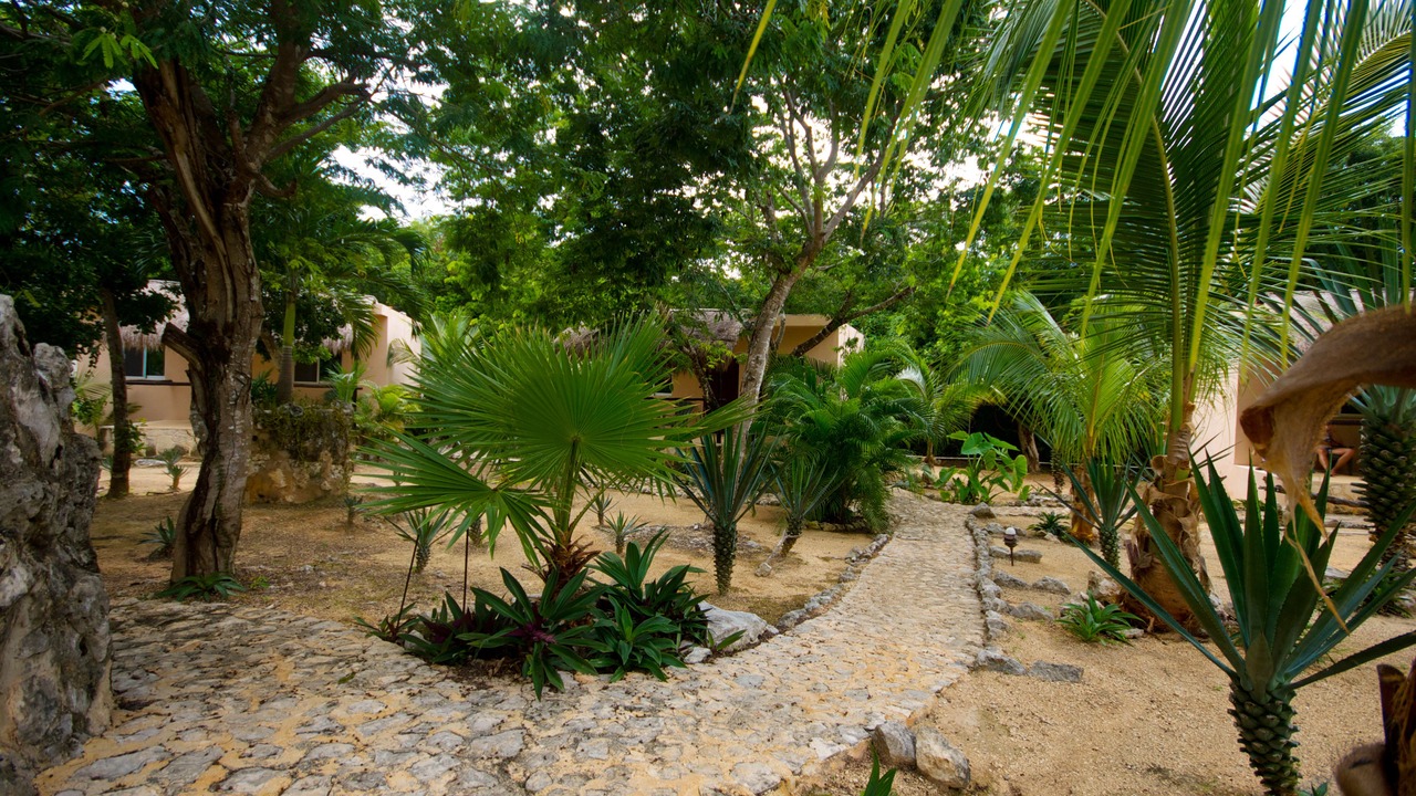 Photo of Outdoor in Akumal