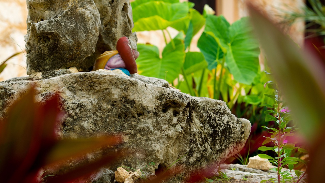 Photo of Outdoor in Akumal