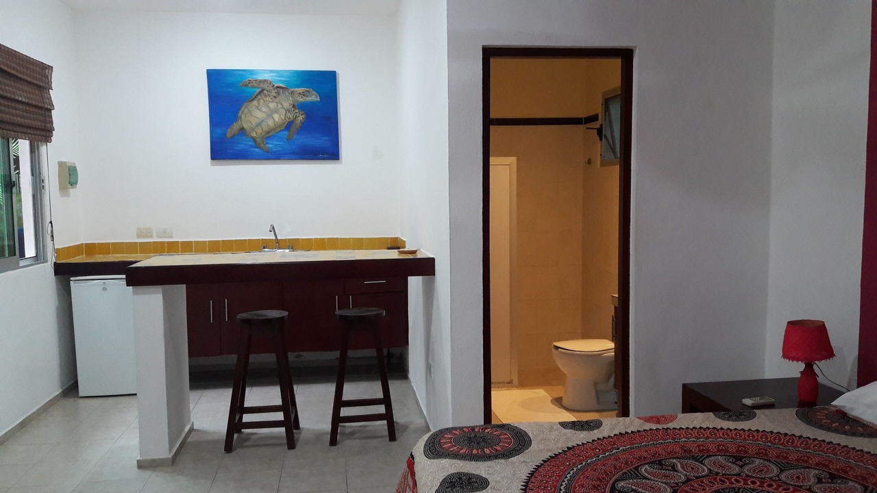 Photo of Outdoor in Akumal