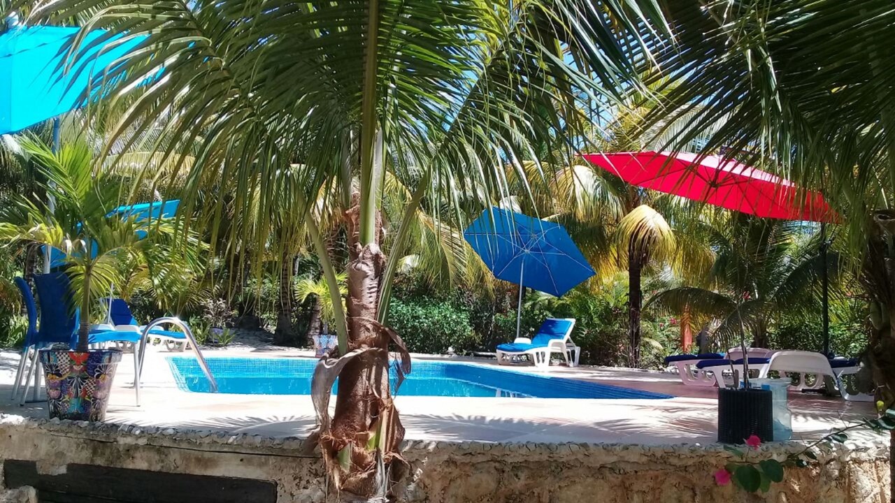 Photo of Outdoor in Akumal