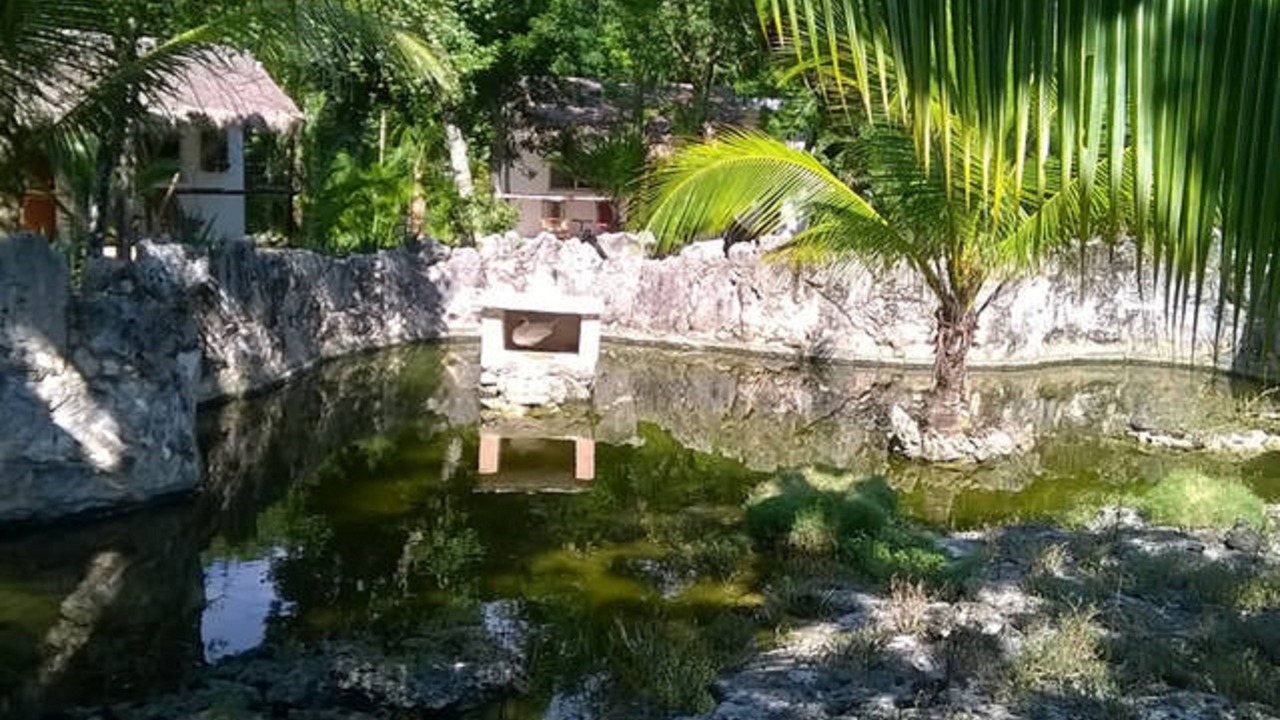 Photo of Others in Akumal