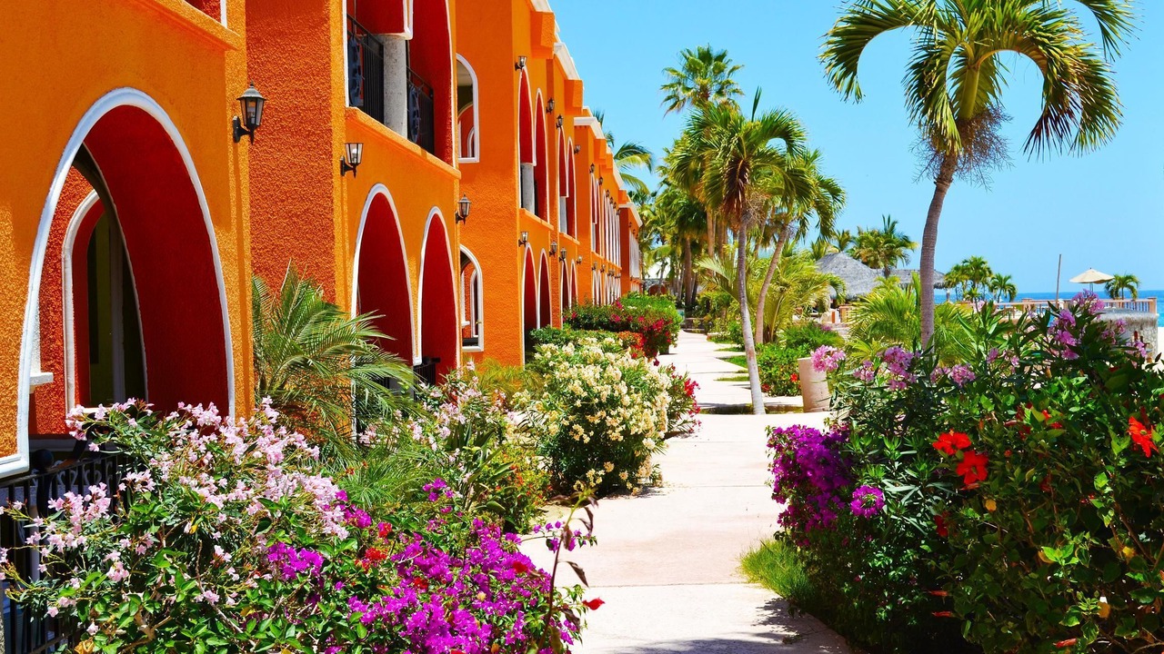 Photo of Outdoor in Los Barriles