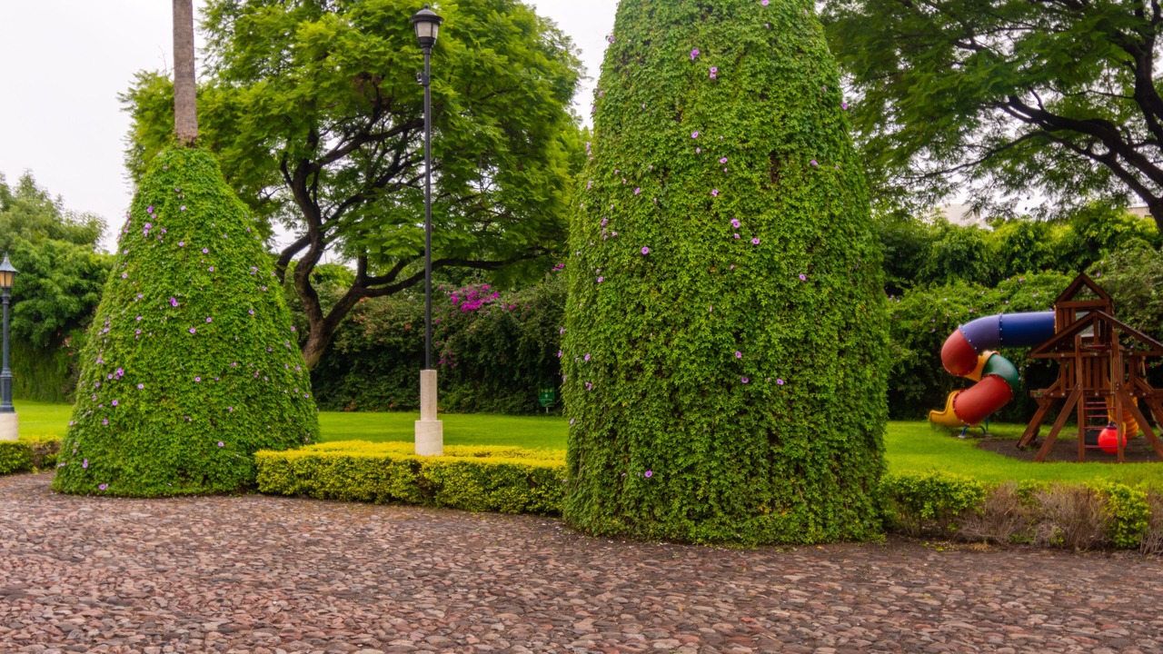 Photo of Outdoor in Downtown Queretaro