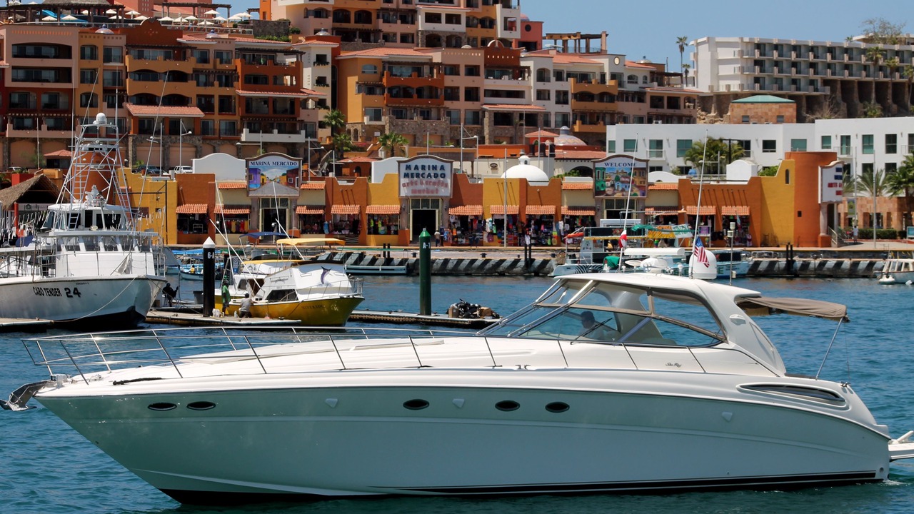 Photo of Others in Marina