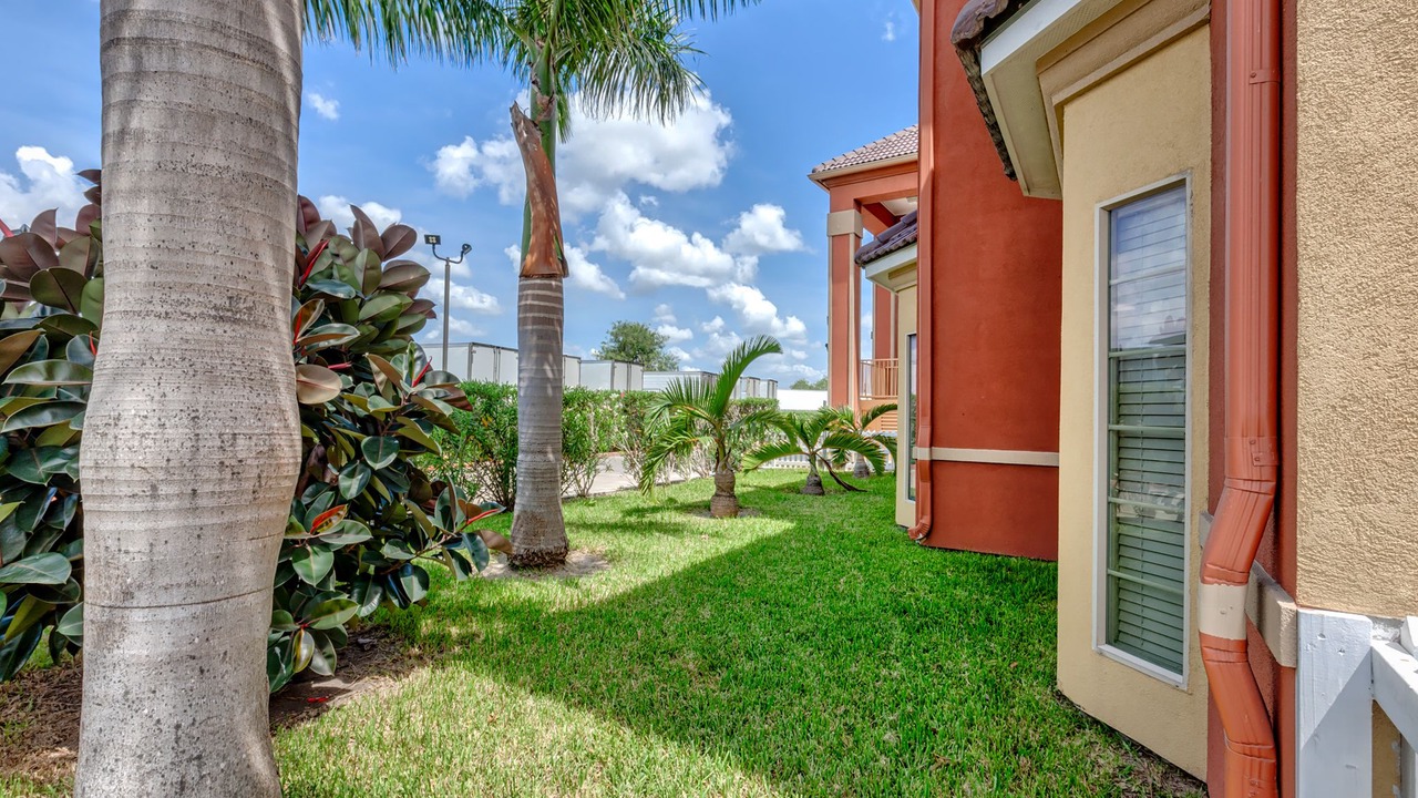 Photo of Outdoor in Brownsville