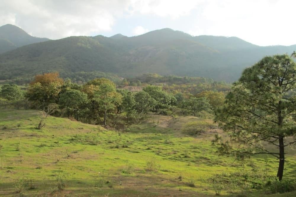 Photo of Outdoor in Mascota
