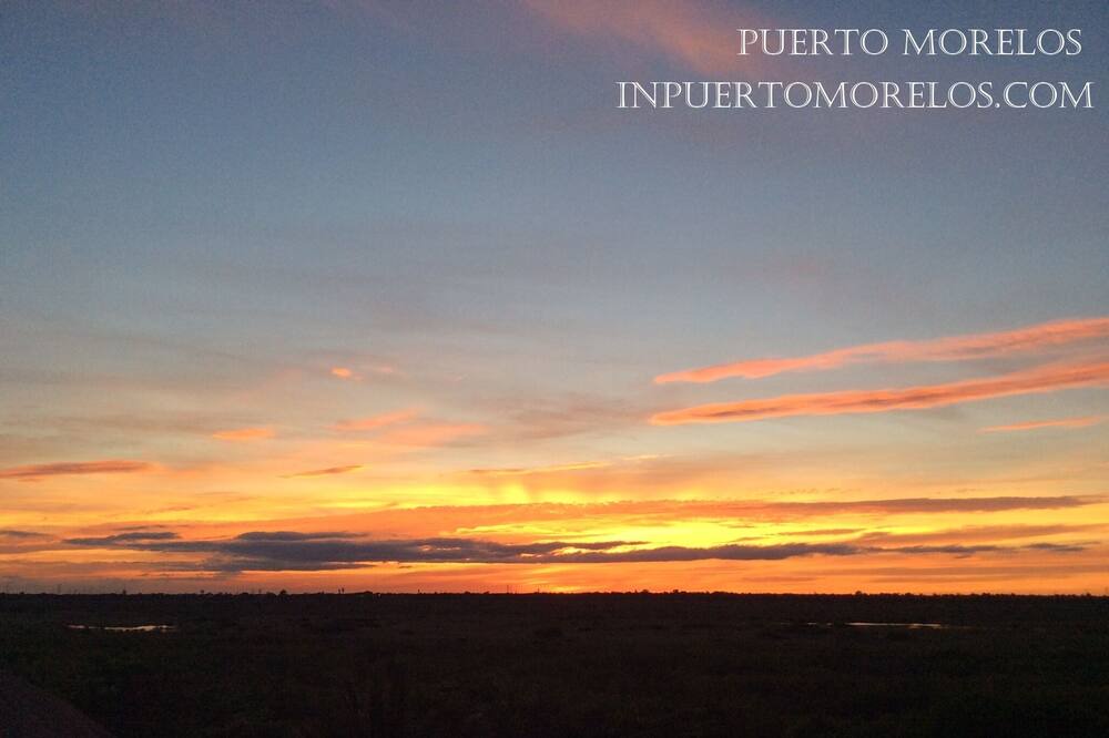 Photo of Others in Puerto Morelos