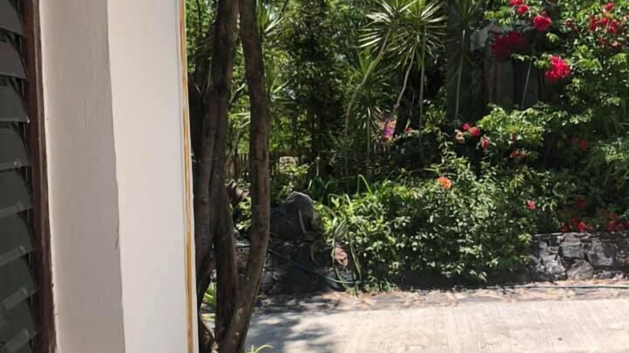 Photo of Outdoor in Salvatierra