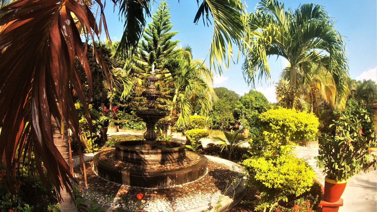 Photo of Outdoor in Comala