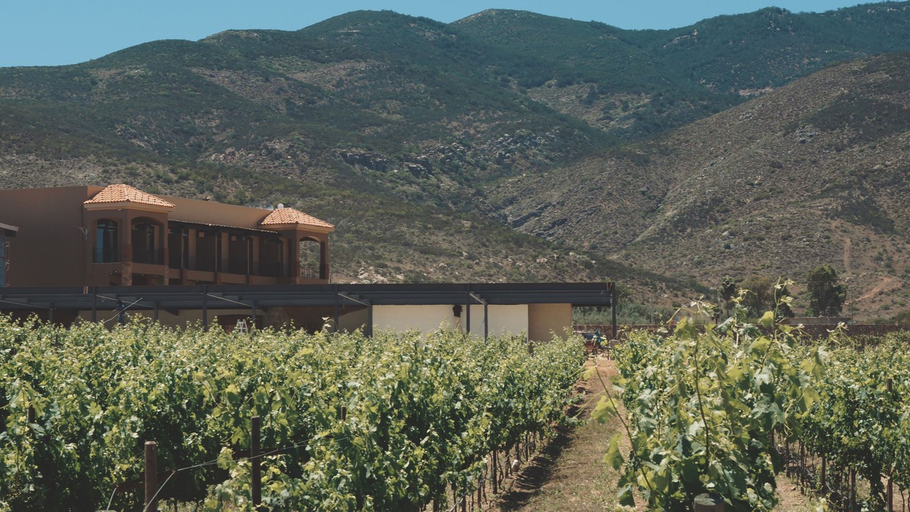 Photo of Others in Valle de Guadalupe
