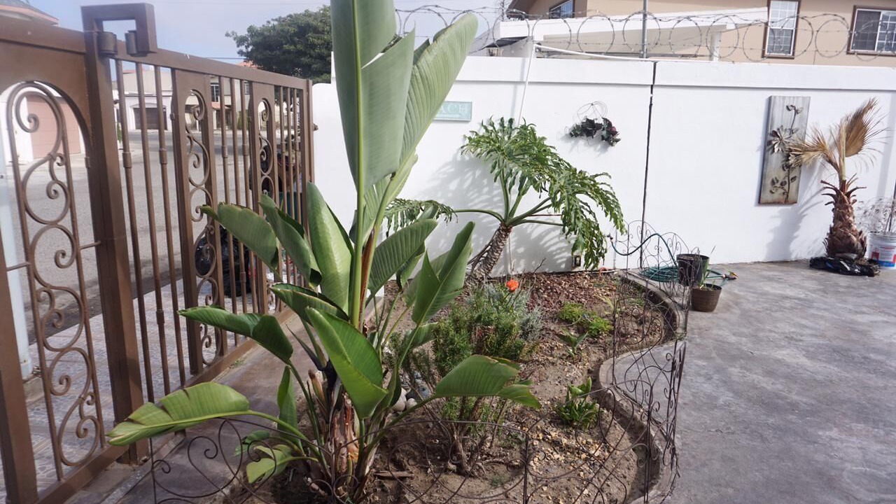 Photo of Outdoor in Loma Dorada