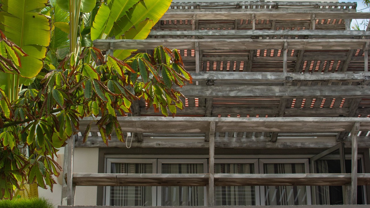 Photo of Outdoor in Santa Maria Tonameca