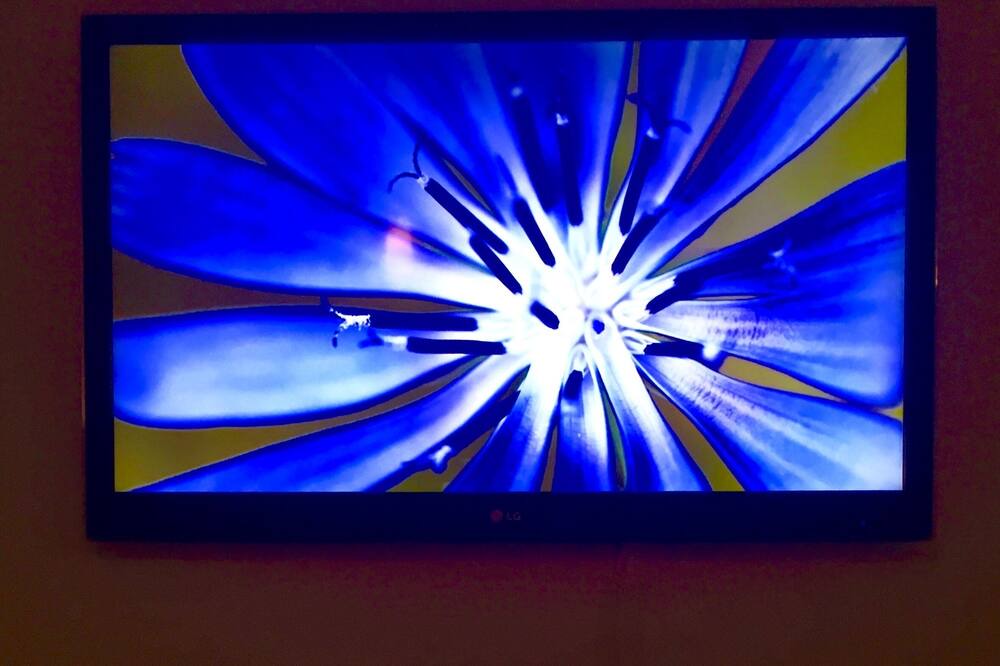 Photo of Others in San Antonio del Mar