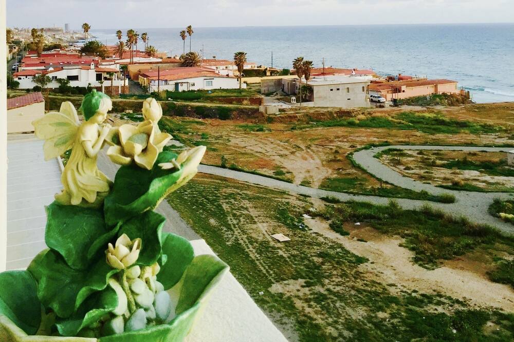 Photo of Others in San Antonio del Mar