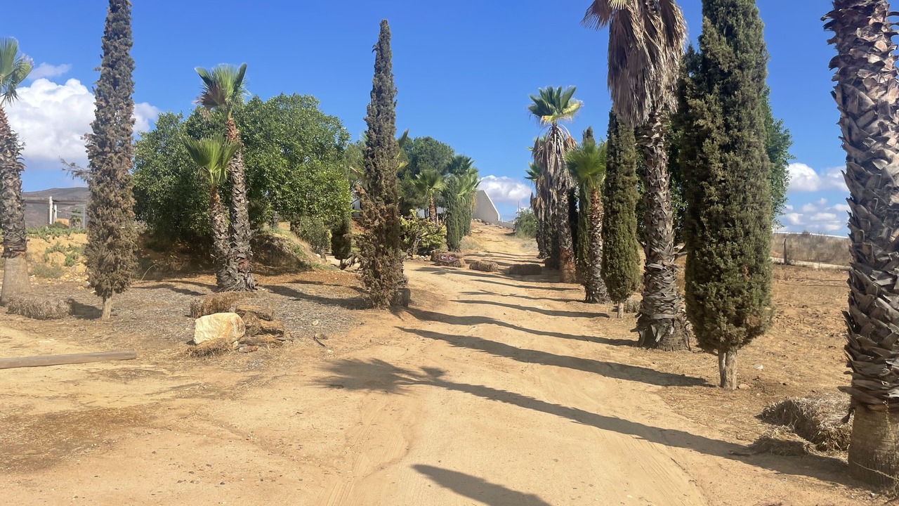 Photo of Others in Valle de Guadalupe