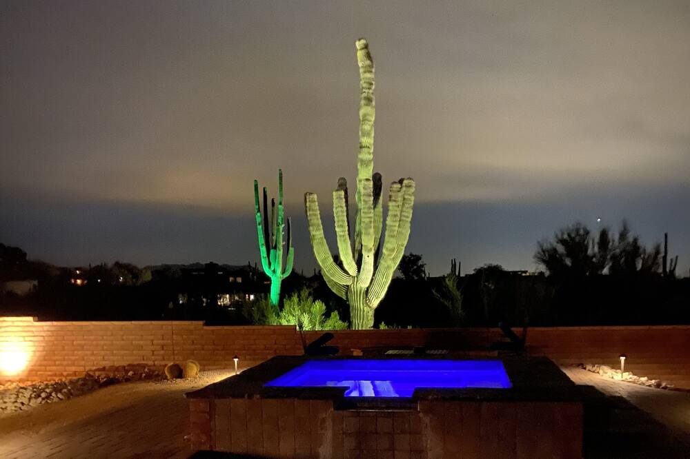 Photo of Outdoor in Velvet Shadows