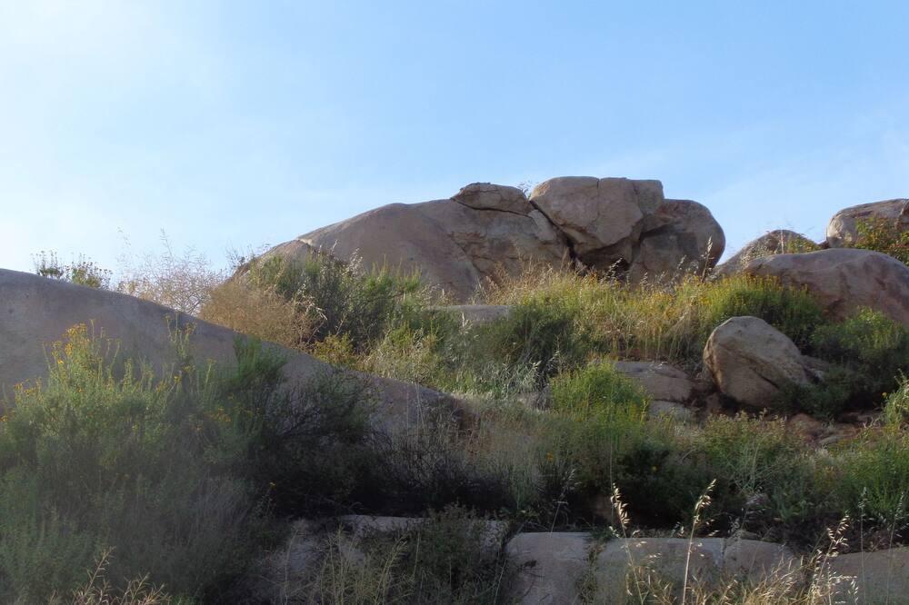 Photo of Others in Valle de Guadalupe