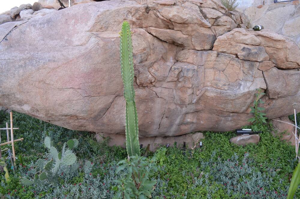 Photo of Outdoor in Valle de Guadalupe