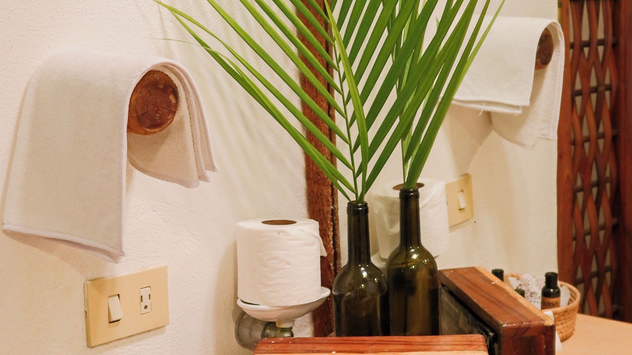 Photo of Bathroom in Playa Las Gatas