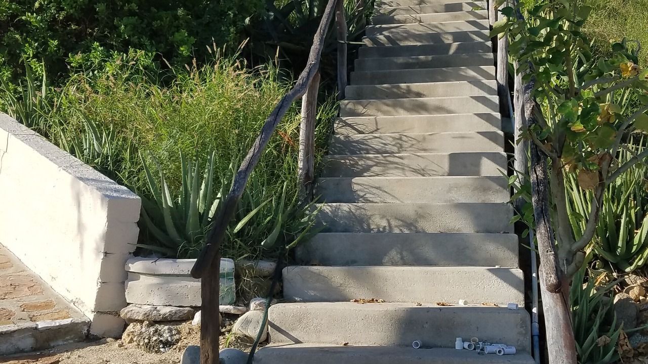 Photo of Outdoor in Buenavista