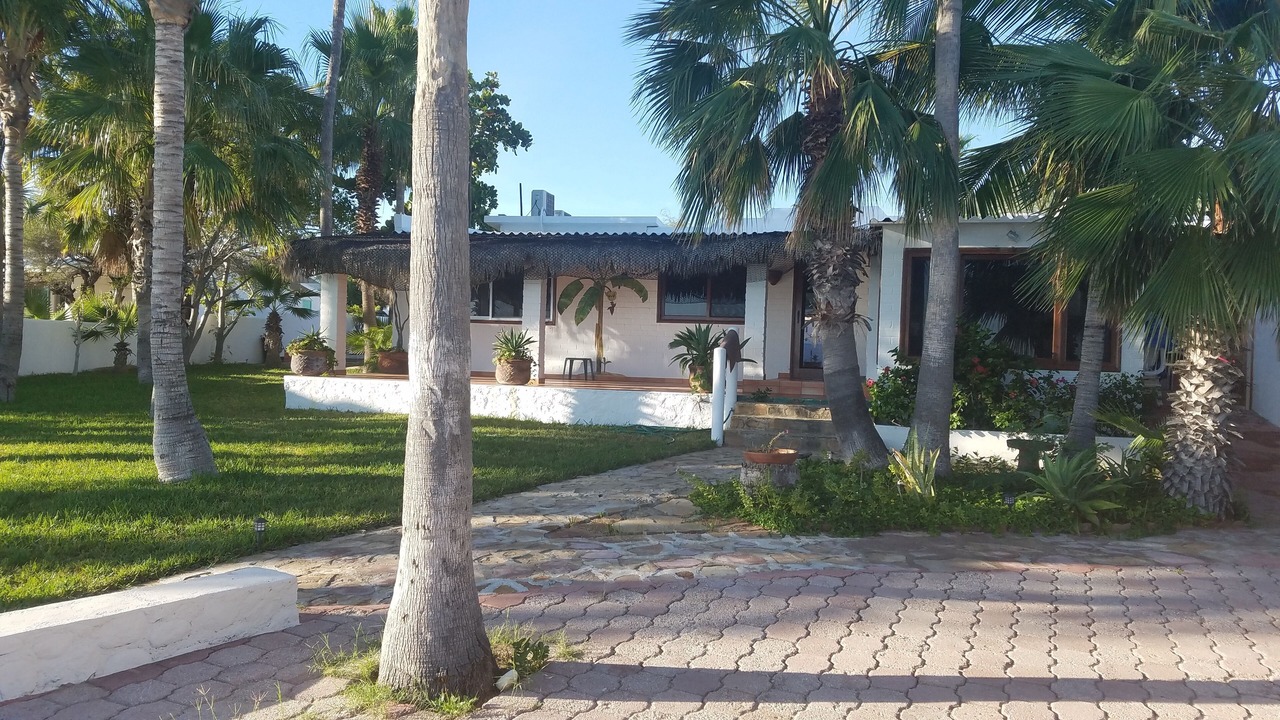 Photo of Outdoor in Buenavista