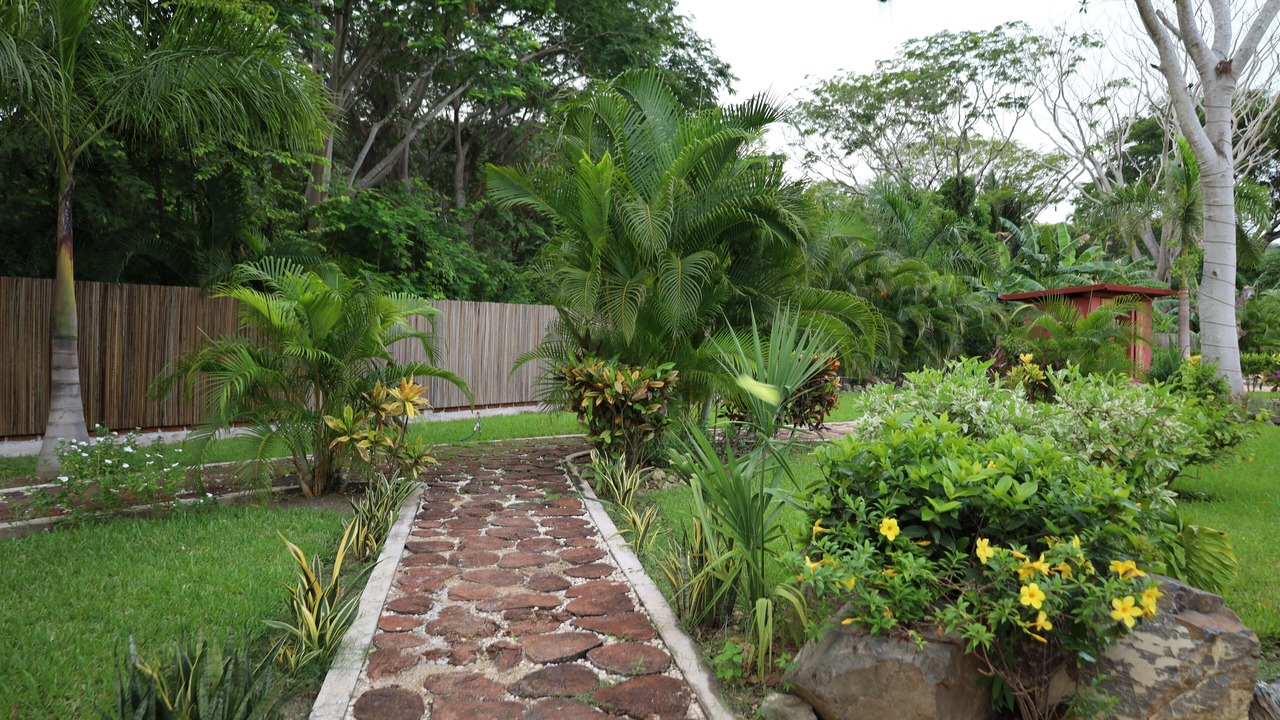 Photo of Outdoor in Zihuatanejo