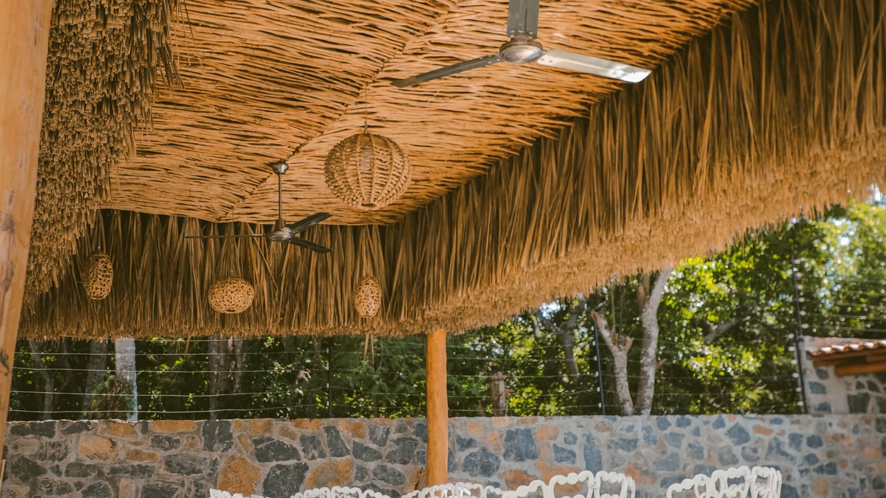 Photo of Outdoor in Zihuatanejo