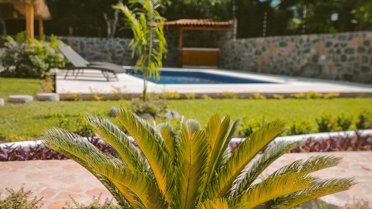 Photo of Outdoor in Zihuatanejo