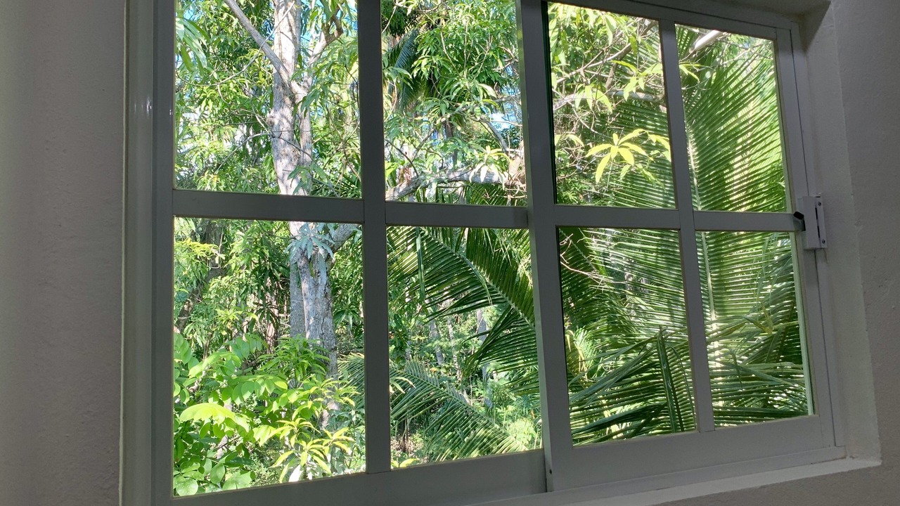 Photo of Outdoor in Zihuatanejo