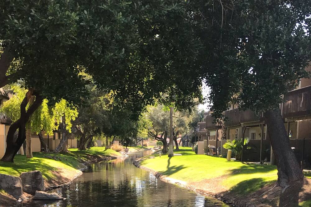 Photo of Others in Dobson Ranch