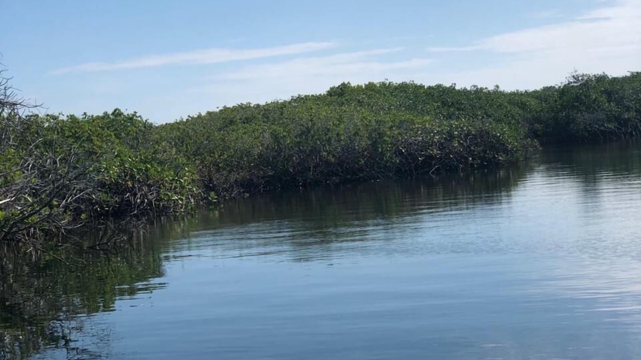 Photo of Others in Puerto San Carlos